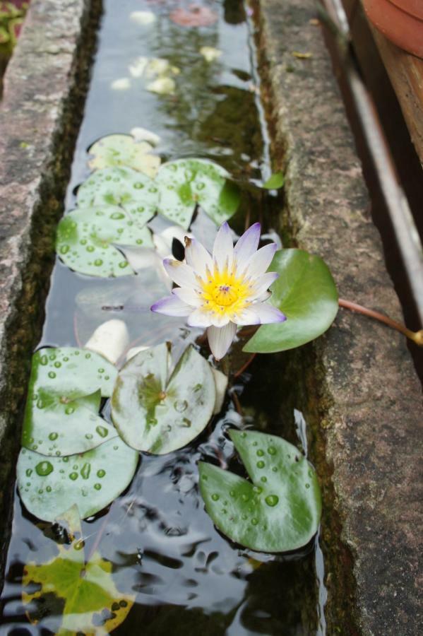 Cheng-Ping Hot Spring Inn Wenquan Exterior foto